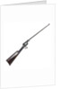 Revolving rifle by R. Adams