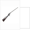 Revolving rifle by R. Adams