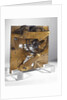 Escapement model by Thomas Earnshaw by Thomas Earnshaw