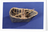 River Tywi coracle, starboard broadside by Unknown