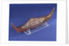 Ethnographic boat model by Nancy Shanawdithit