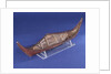 Ethnographic boat model by Nancy Shanawdithit
