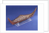 Ethnographic boat model by Nancy Shanawdithit