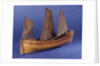 Full hull model, sailing lifeboat, starboard stern quarter by unknown