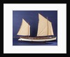 'Bittern', starboard broadside by unknown