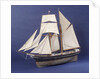 'Little Mystery', port 3/4 bow by Max T. Davey