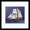 'Little Mystery', port 3/4 bow by Max T. Davey