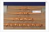 Full hull model, racing pair shell, port broadside by Unknown