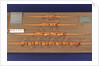 Full hull model, racing four shell, port broadside by unknown