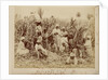 Sugar-cane cutters in Jamaica by unknown
