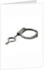 Identification band and key by unknown