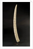 Loango Tusk by unknown