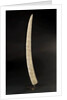 Loango Tusk by unknown