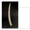 Loango Tusk by unknown