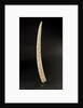 Loango Tusk by unknown