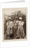 Slaves on a sugar plantation in Jamaica, West Indies by unknown