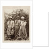 Slaves on a sugar plantation in Jamaica, West Indies by unknown