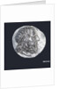 A tetradrachm commemorating the Battle of Cos, BC253 by unknown