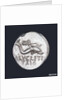 Denarius depicting head of Neptune by unknown