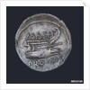 Denarius depicting head of Numa Pompilius by unknown