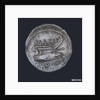 Denarius depicting head of Numa Pompilius by unknown