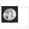 A denarius commemorating the Battle of Actium BC31 by unknown