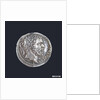 Medal commemorating Pompey the Great (BC 106-48) by G. Cavino