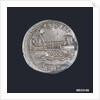 Medal commemorating Pompey the Great (BC 106-48) by G. Cavino