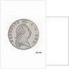 Bermuda Penny by J.P. Droz