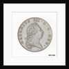Bermuda Penny by J.P. Droz