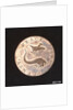 Emsworth halfpenny token by unknown