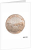 Lowestoft halfpenny token by R.P.