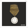 Prize medal awarded for drill by unknown