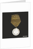 Prize medal awarded for drill by unknown