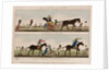 On a Visit in Style - Taking a Ride - West India Fashionables by J. S.
