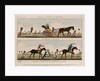 On a Visit in Style - Taking a Ride - West India Fashionables by J. S.