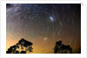 Star Trails Blue Mountains by Edward Dobosz