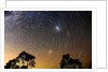 Star Trails Blue Mountains by Edward Dobosz