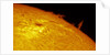 Solar Limb Prominence and Sunspot by Eric Toops