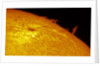 Solar Limb Prominence and Sunspot by Eric Toops