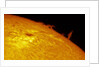 Solar Limb Prominence and Sunspot by Eric Toops