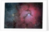 The Trifid Nebula (M20) by Eddie Trimarchi