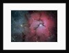 The Trifid Nebula (M20) by Eddie Trimarchi