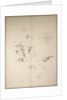 Chart of the Galapagos, surveyed in the merchant ship 'Rattler', and drawn by Captain James Colnett, of the Royal Navy. Corrections to 1832. by James Colnett