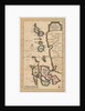 Map of the Molucca Islands (modern Indonesia) by Pierre van der Aa