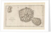 Chart of the Island Otaheite (Tahiti) by James Cook, 1769 by James Cook