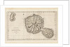 Chart of the Island Otaheite (Tahiti) by James Cook, 1769 by James Cook