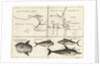 Chart of Gulf of Guinea, Africa by Gerard van Keulen
