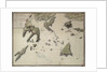 Plan of the taking of Barasound in Finland by unknown