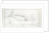 Sketch of the routes from Kustenjeh to Chernavoda and Rassova with the Karasu Lakes by Captain T. Spratt R.N. C.B. 24 July 1854 by Thomas A. B. Spratt